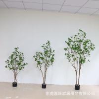uploads/erp/collection/images/Home Garden/dgjiawang/XU0612681/img_b/XU0612681_img_b_2